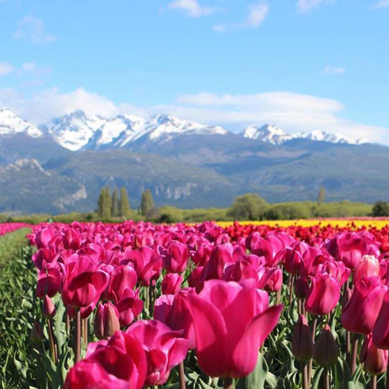 ESQUEL BARILOCHE Y SAN MARTIN DE LOS ANDES  